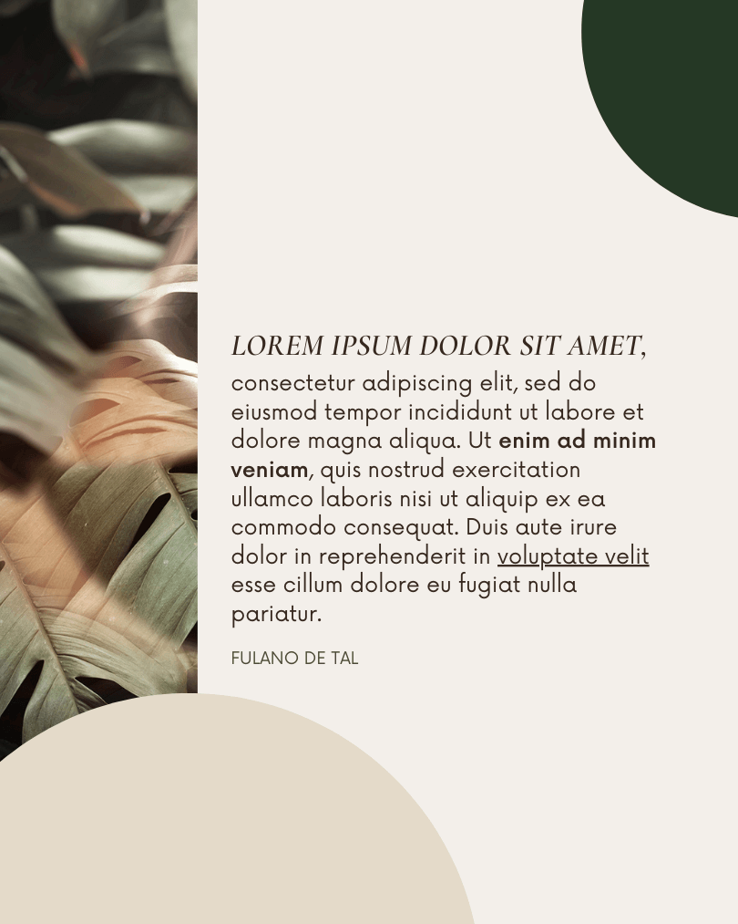 Frase de impacto _ carrossel (2)